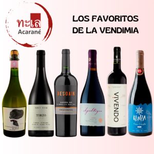 Pack Favoritos de la vendimia