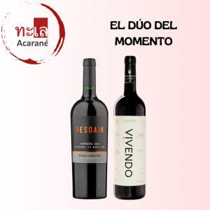 El Dúo del Momento - Besoain Wines Single Vineyard y Calyptra Vivendo
